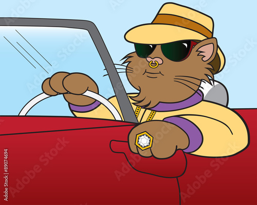 Cool cat cruising the streets in his ride