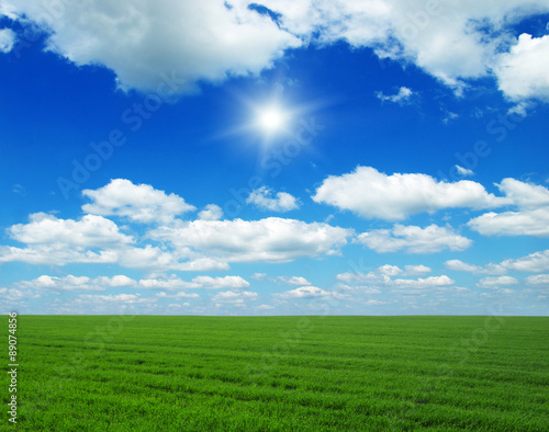 Green field  blue sky and sun