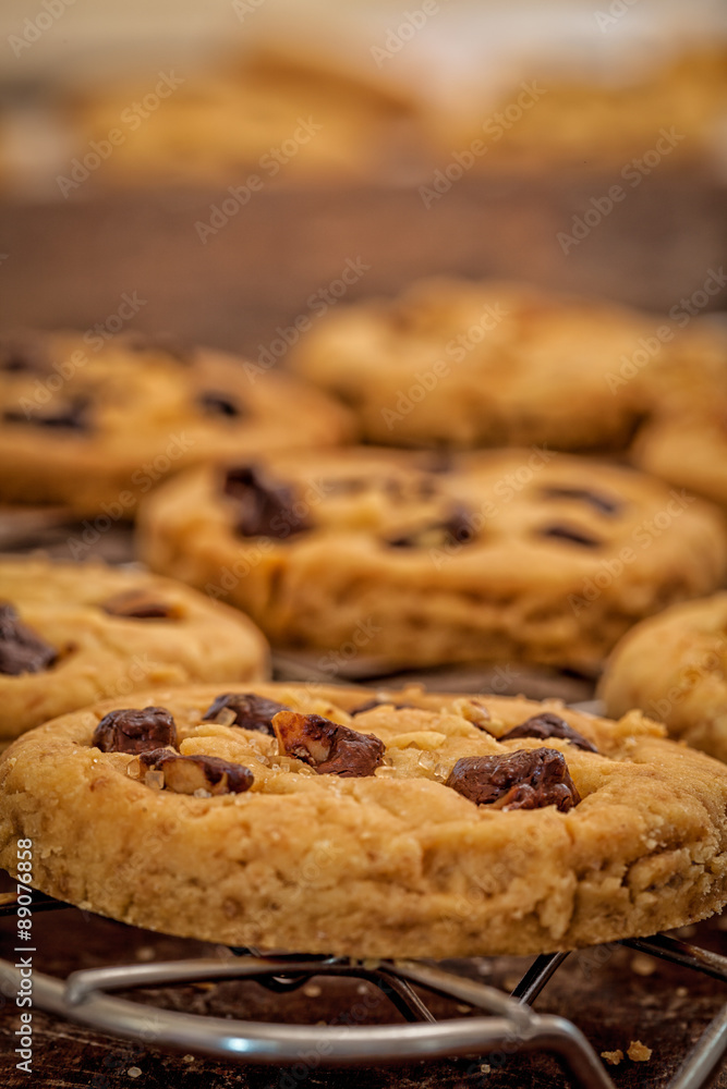Chocolate chip cookies - close up Chocolate chip cookies - close up