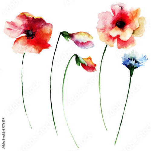 Set of summer watercolor flowers