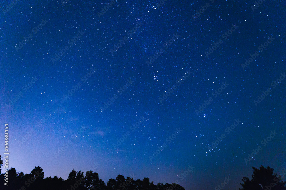 Naklejka premium Perseids Meteor Shower / High ISO Atro Picture from the Meteor Showers
