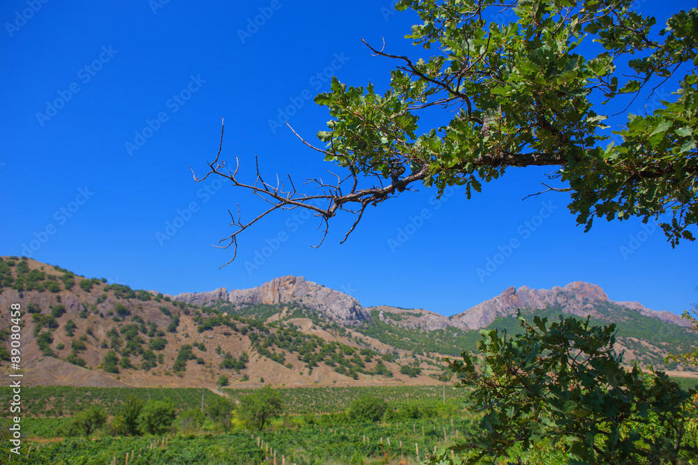Crimea mountain landscape