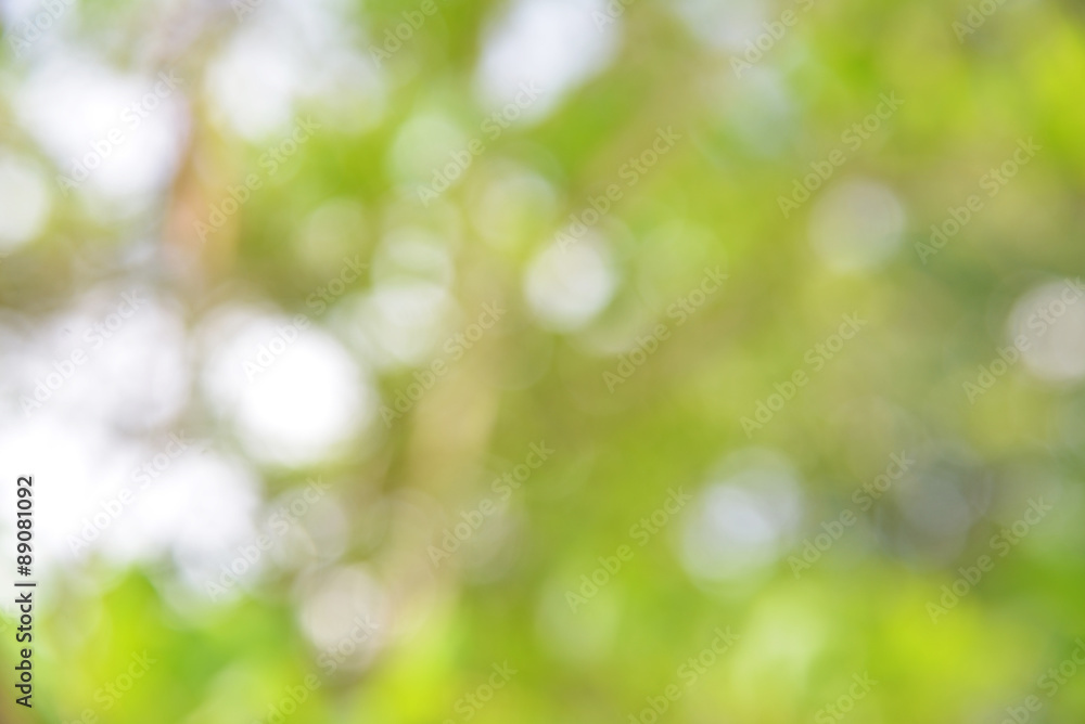 The abstract background of natural light bokeh The abstract background of natural light bokeh