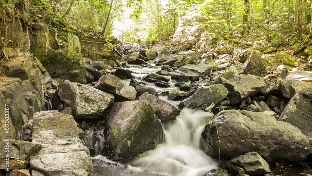 River in Algonquin Provincial Park River in Algonquin Provincial Park