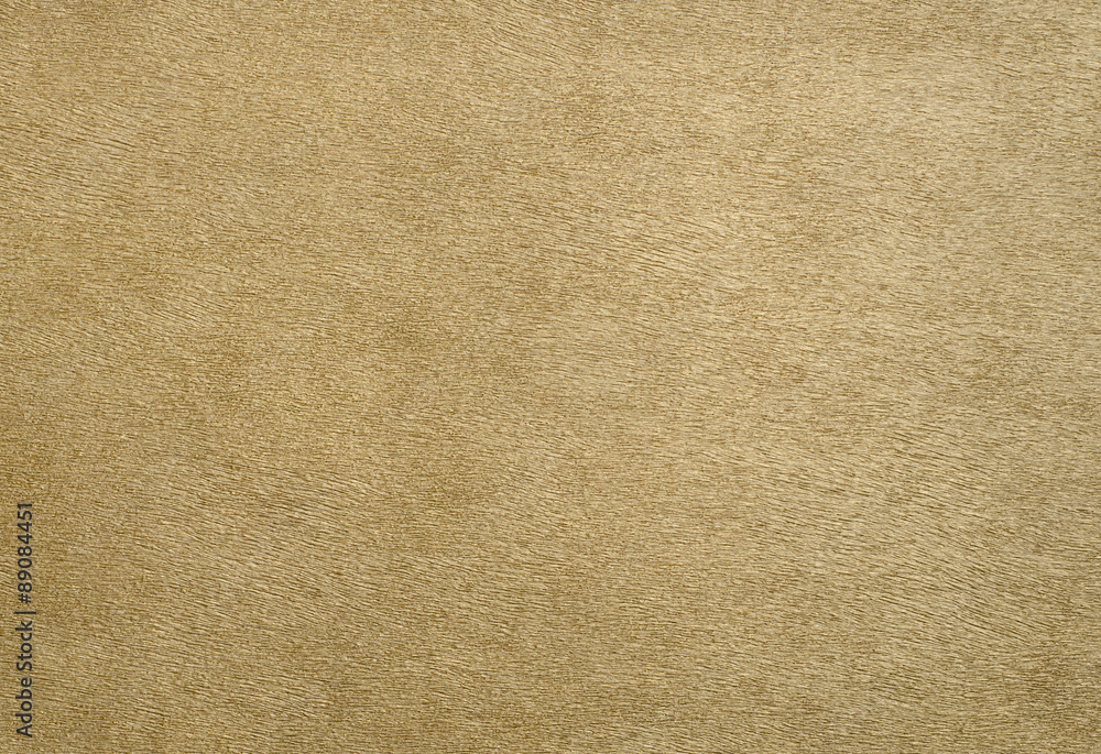 Animal skin leather texture Animal skin leather texture
