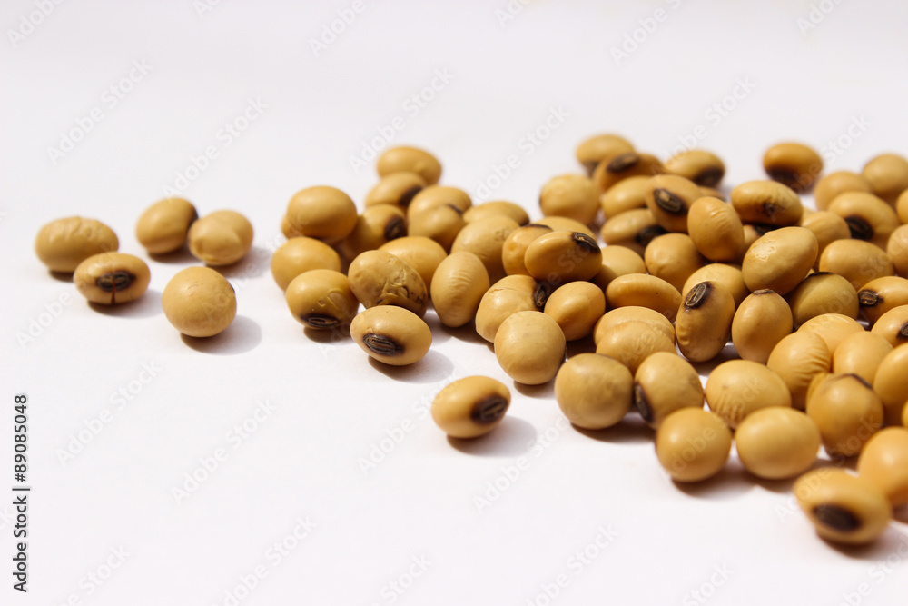 Soybean