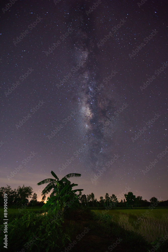 Night starry and milky way. Long exposure photo.