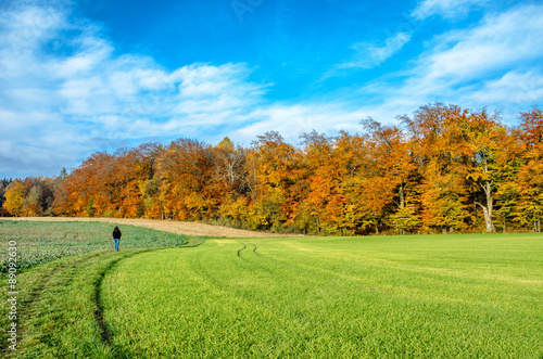 Picturesque, autumnal landscape in south Bavaria, Germany