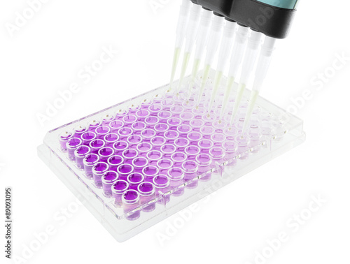 multichannel pipette test sample on 96 wells plate