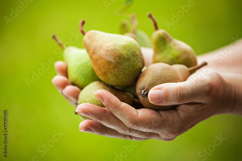 Female farmer holding pears