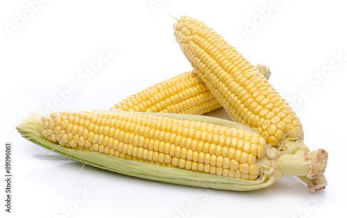 Fresh corn cob