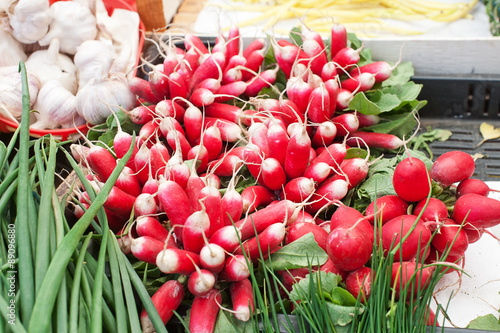 Bunches of Radishes on Sale at Market