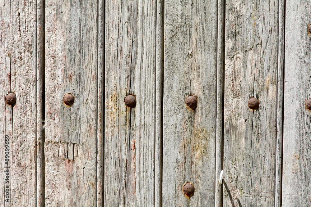 Wood door with panels and rivets