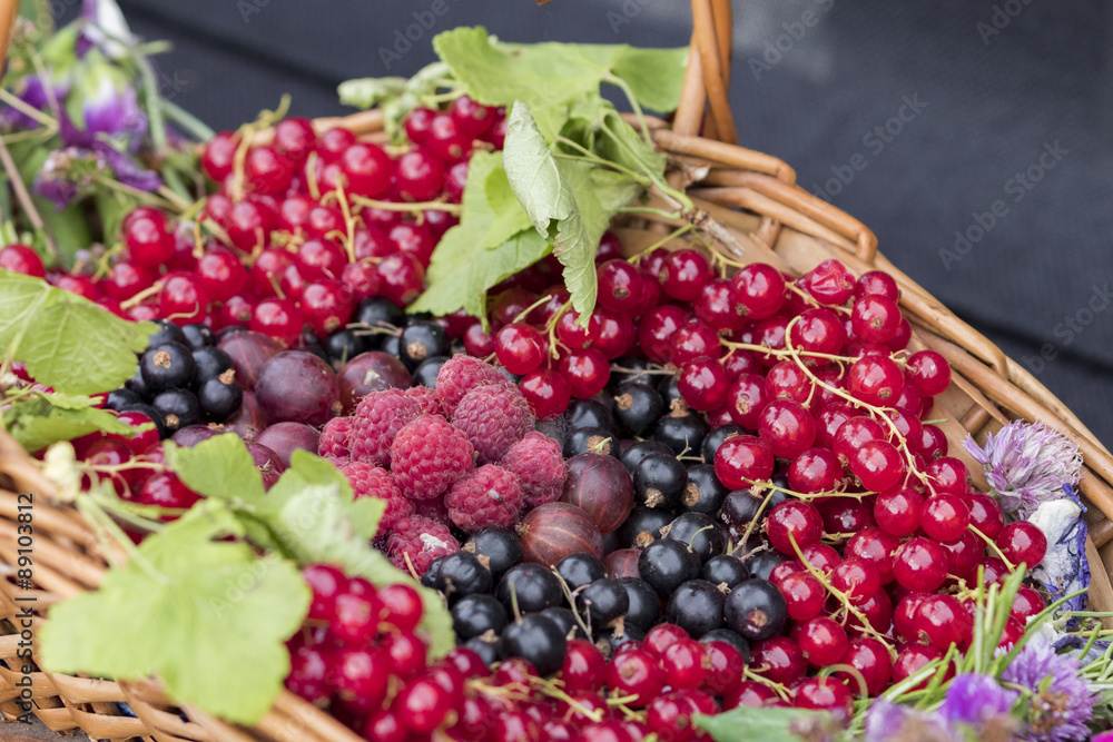 summer fruits summer fruits