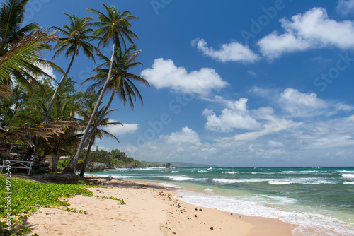 tropical beach on the caribbean island