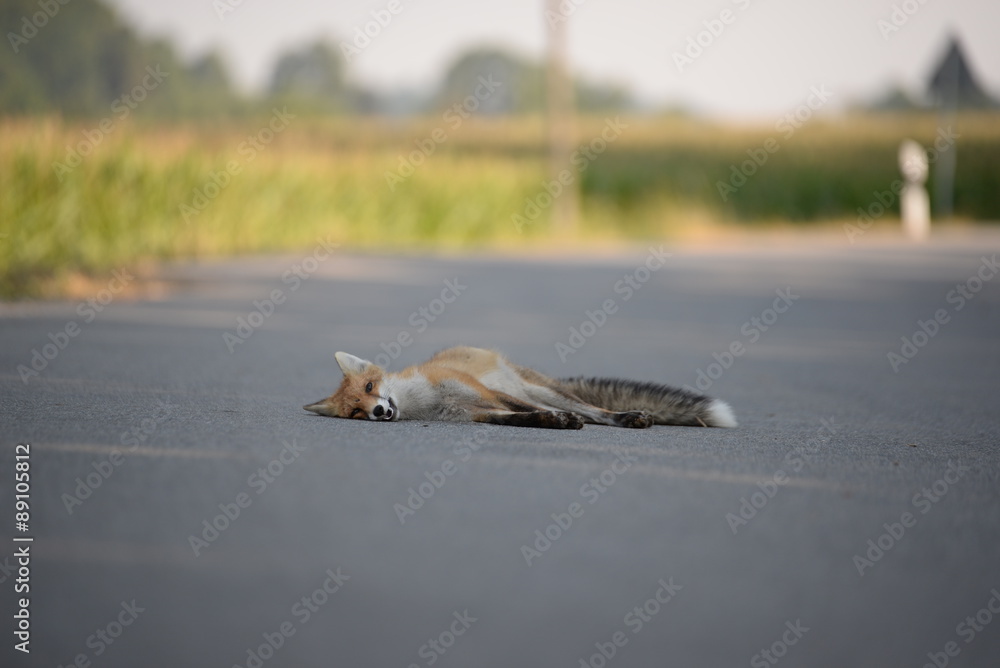 Ende der Jagd Ende der Jagd