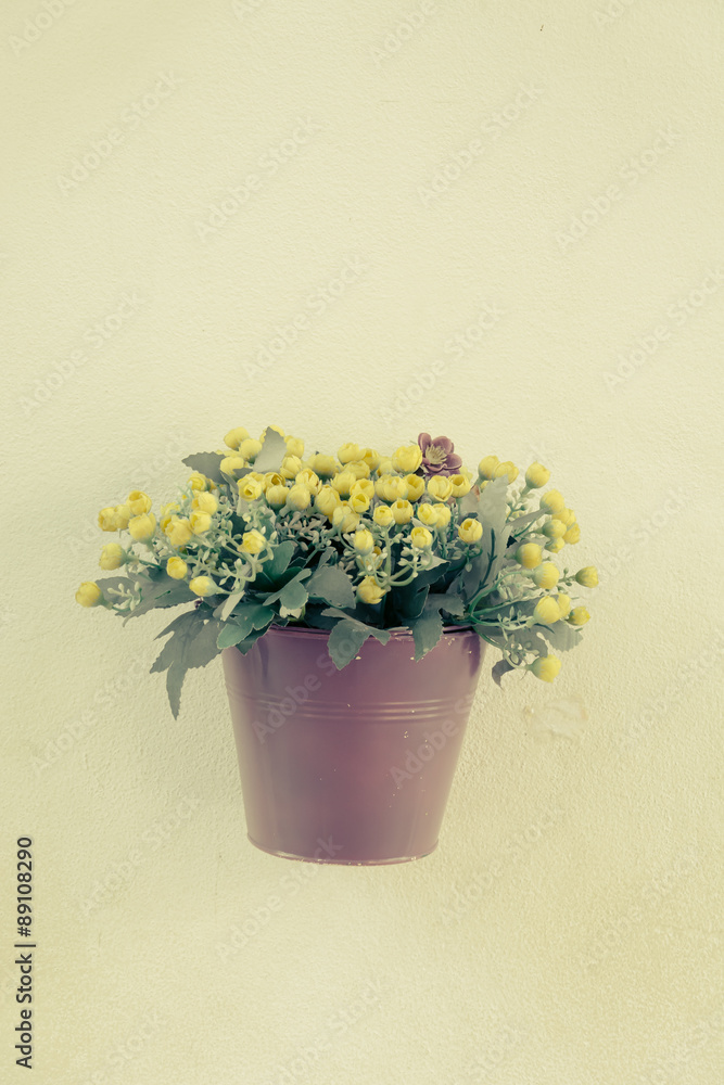 pot flower on white wall