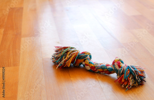 Colorful puppy dog toy on the floor