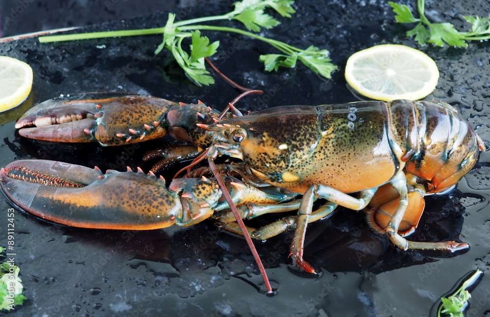 lobster