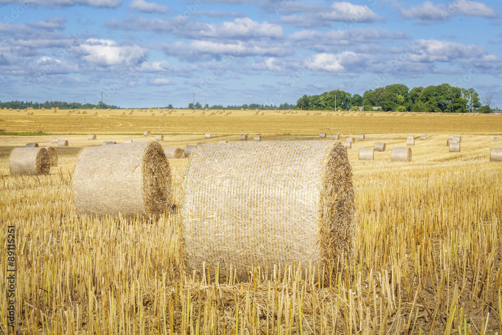 Golden hay bales on field in summer