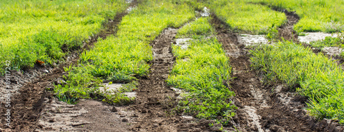 Принти на полотні Tire track tractors on the field