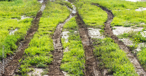 фотографія Tire track tractors on the field