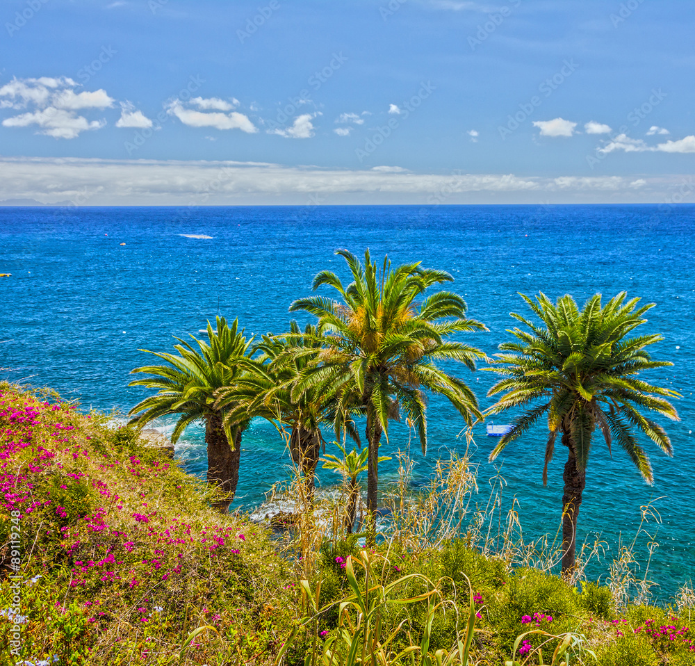 Tropical beach, Madeira, Portugal