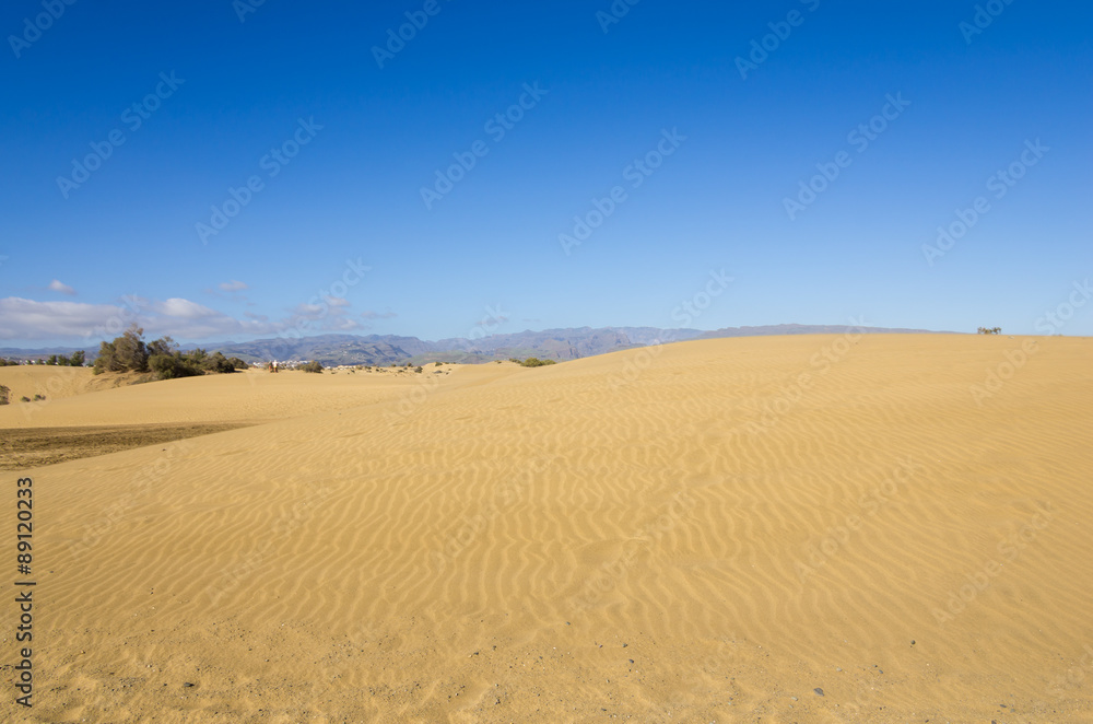 Dunes of Maspalomas Dunes of Maspalomas