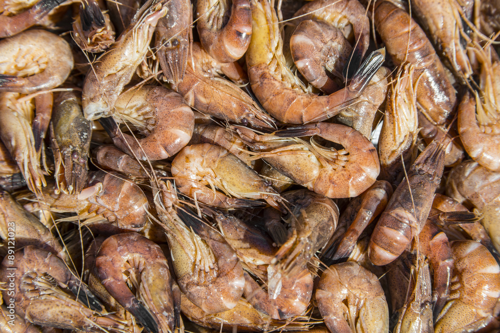 shrimps close up - food background