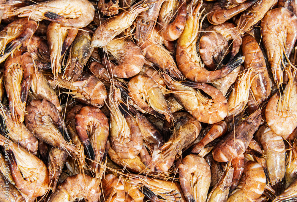 shrimps close up - food background
