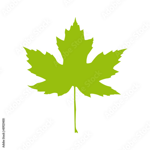 Autumnal Maple Leaf silhouette