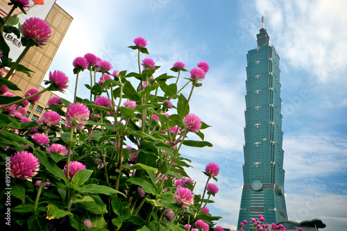 Can flowers grow higher than Taipei101?
