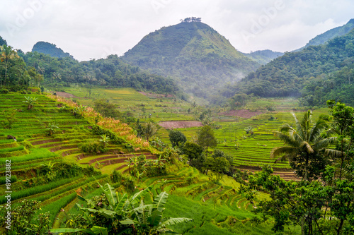 Billede på lærred Rice Terraces, Java, Indonesia