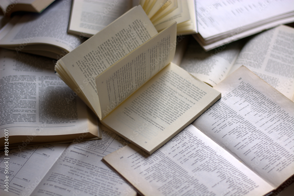 Obraz premium Literature