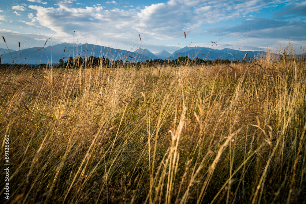 Fototapeta premium Panorama landscape