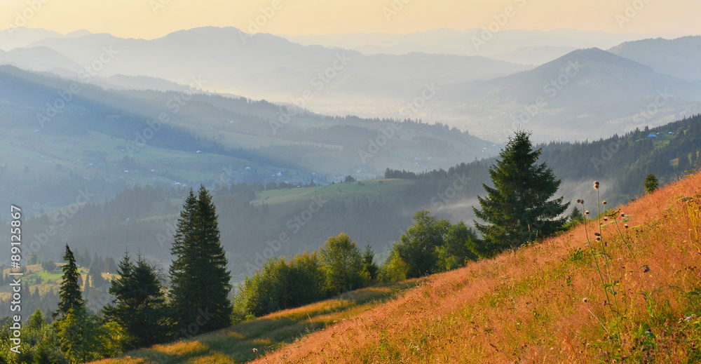 Fototapeta premium Morning countryside