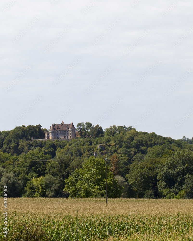 Chateau on the Hill. A view across a field of corn of a chateau sitting proudly up on a hill in a prime position in amongst a wild set of trees. 