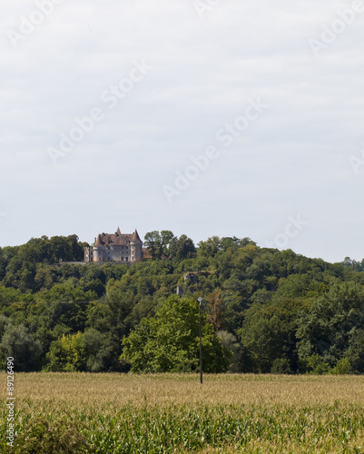 Chateau on the Hill. A view across a field of corn of a chateau sitting proudly up on a hill in a prime position in amongst a wild set of trees. 