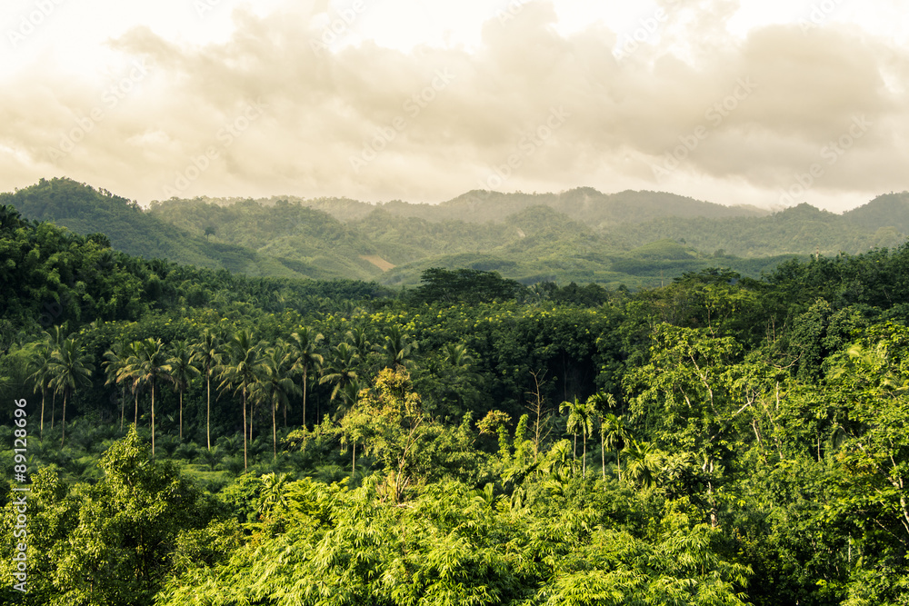 Fototapeta premium view of mountain with fog in raining season,form balcony at Surat Thani, Thailand