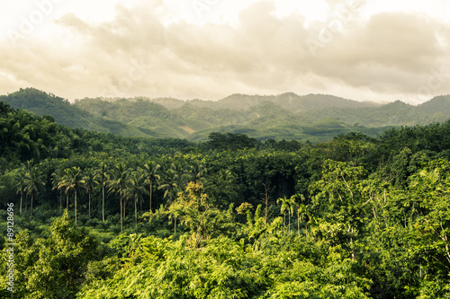 view of mountain with fog in raining season,form balcony at Surat Thani, Thailand