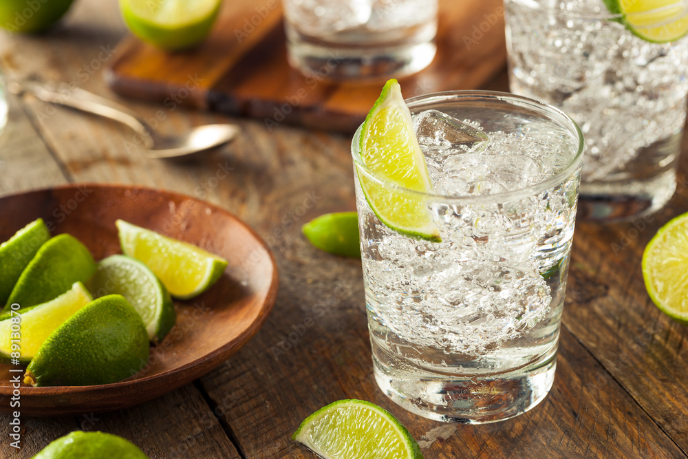 Alcoholic Gin and Tonic Alcoholic Gin and Tonic