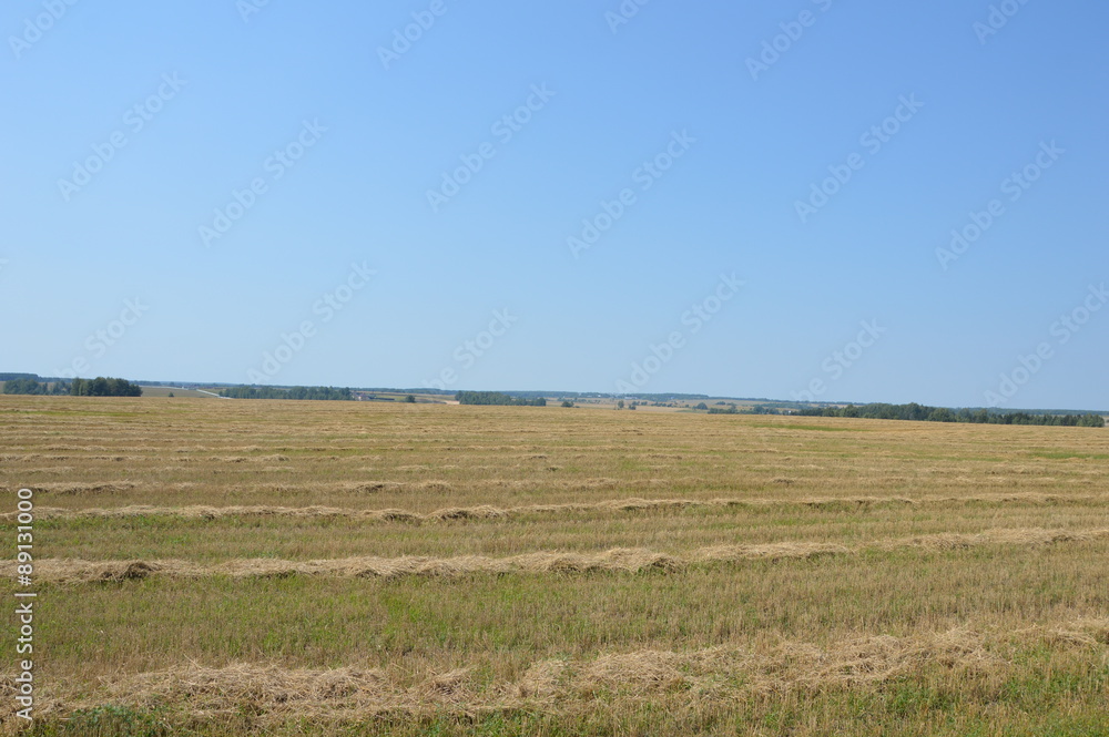 Obraz premium Август