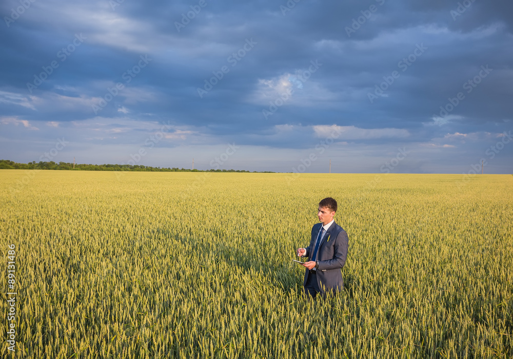 Businessman on a wheat field 