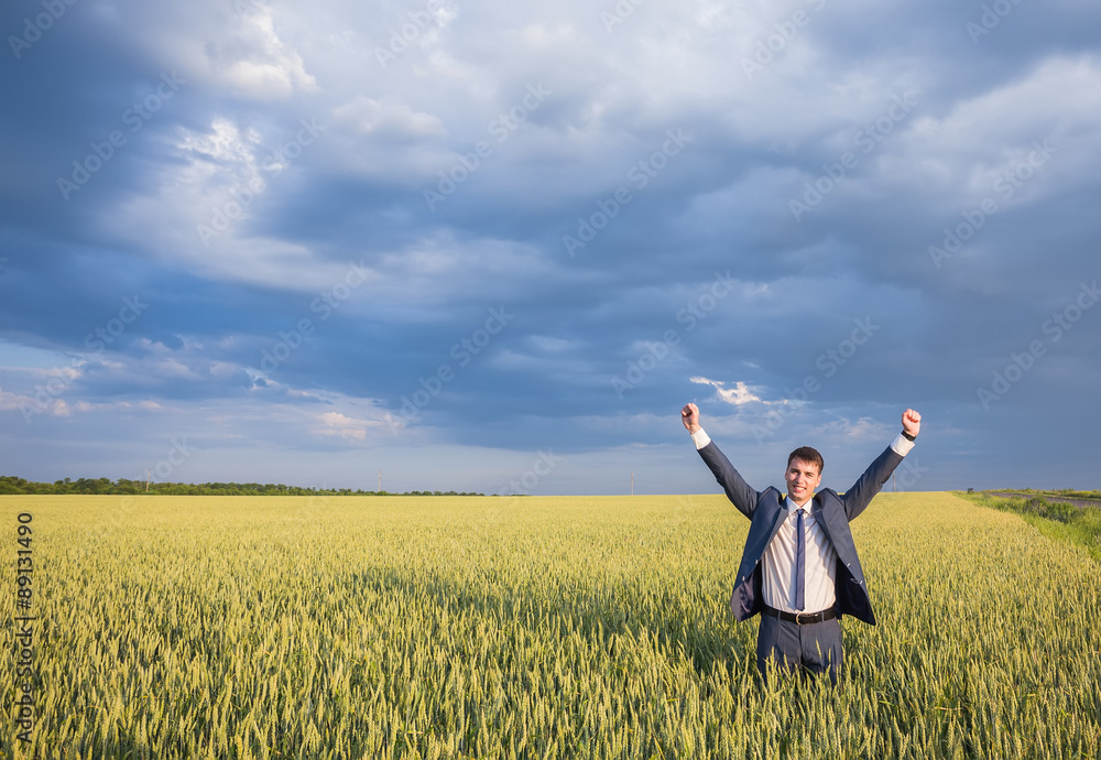 Happy businessman standing on the field Happy businessman standing on the field