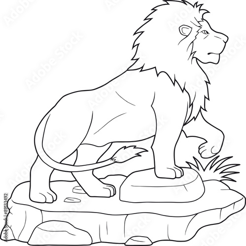 Fototapeta Naklejka Na Ścianę i Meble -  lion