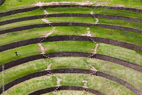 Moray Terraces photo