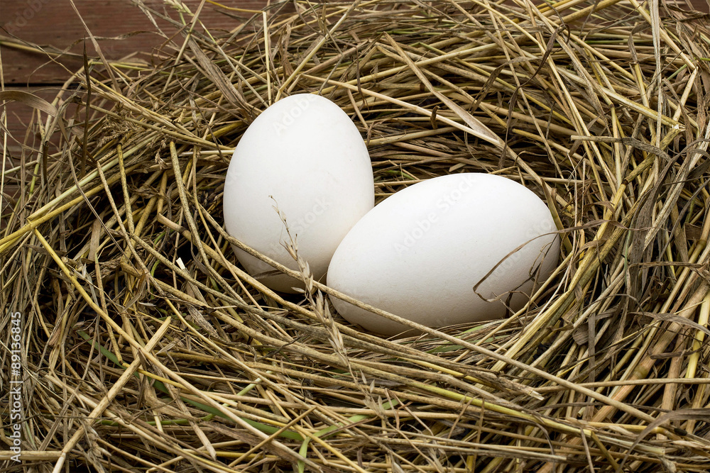 Two goose eggs lie in a nest of hay