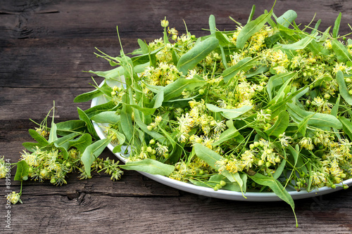 Bild auf Leinwand Herbal medicine: linden flowers collected for drying