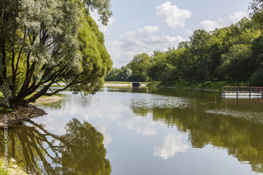 Fototapeta premium Vijver in de botanische tuin Moskou