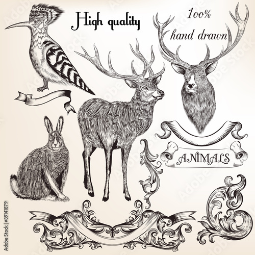 Set of high detailed vector animals for design